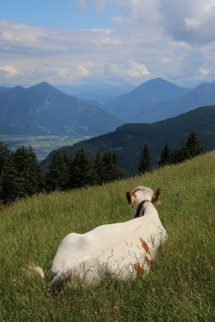 Blick in die Ferne 