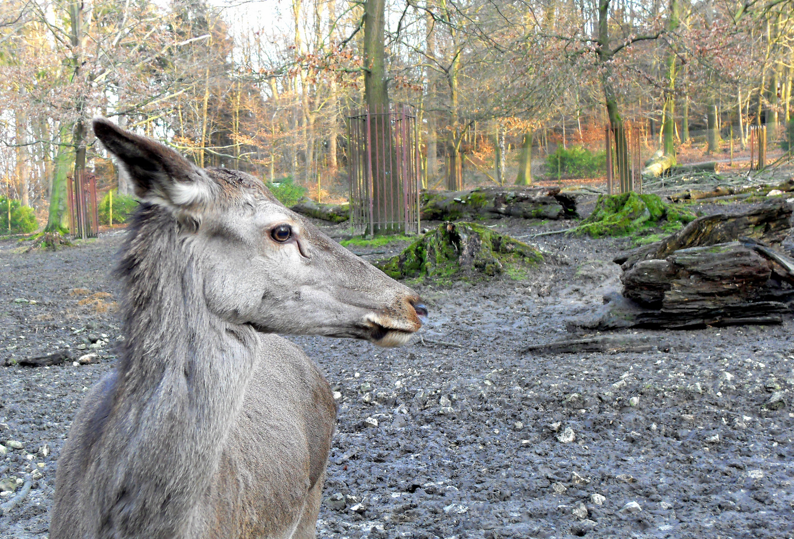 Blick in die Ferne