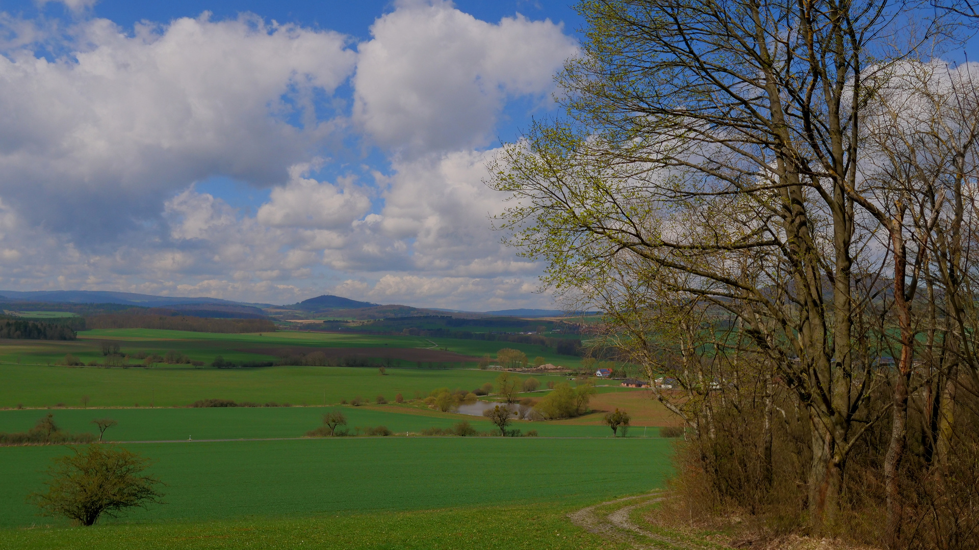 Blick in die Ferne (panorámica)