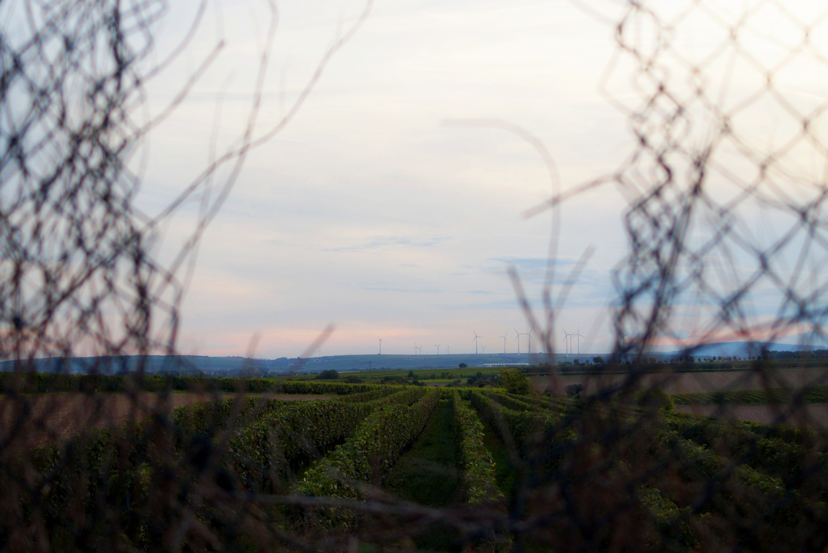 Blick in die Freiheit