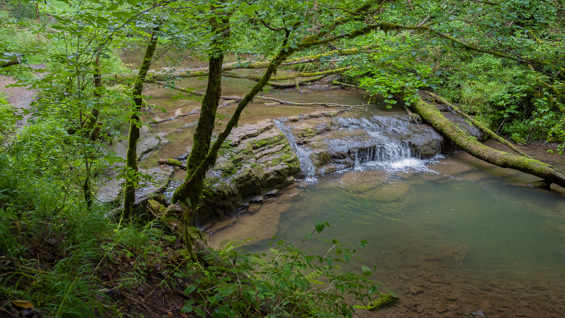 Blick in die Gauchachschlucht