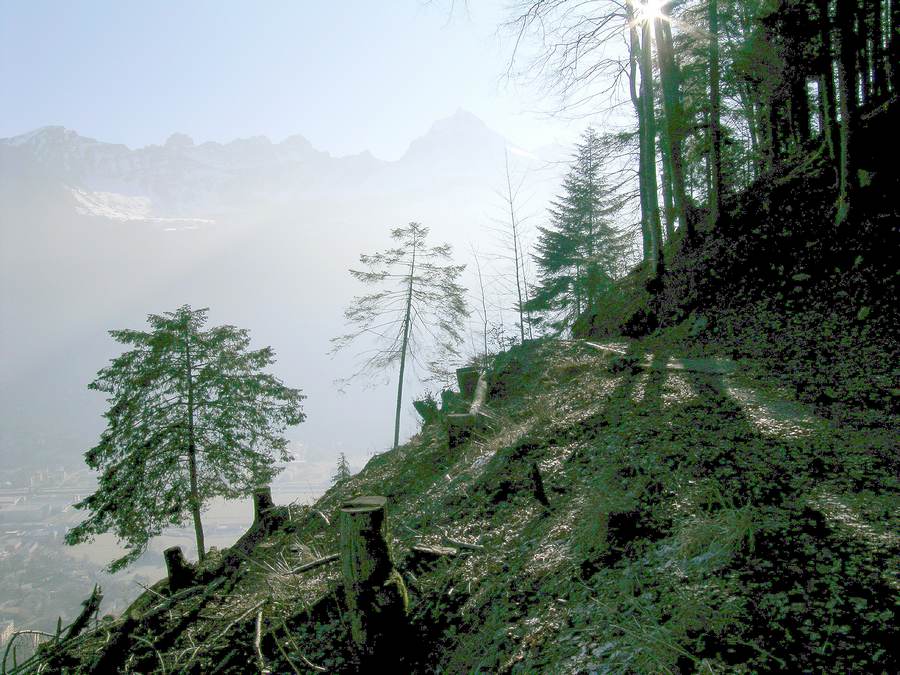 Blick in die Glarner Berge