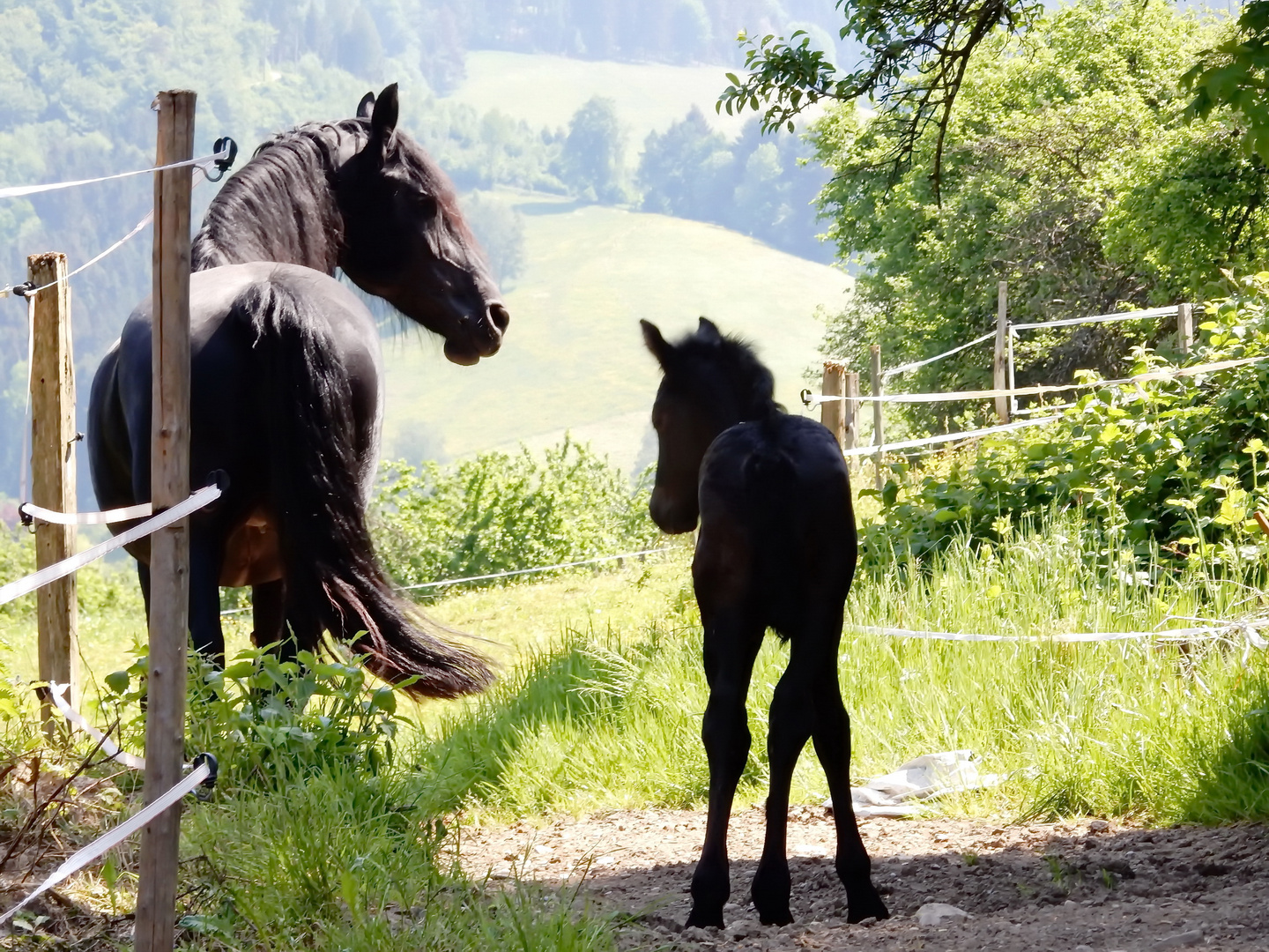 Blick in die große ,weite Welt....