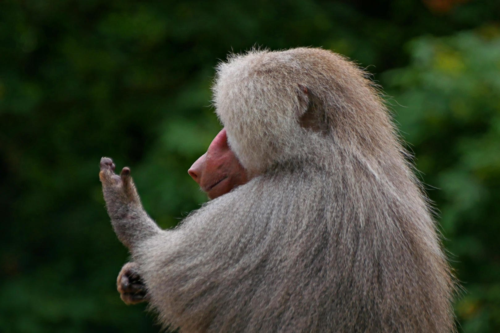 Blick in die Hand