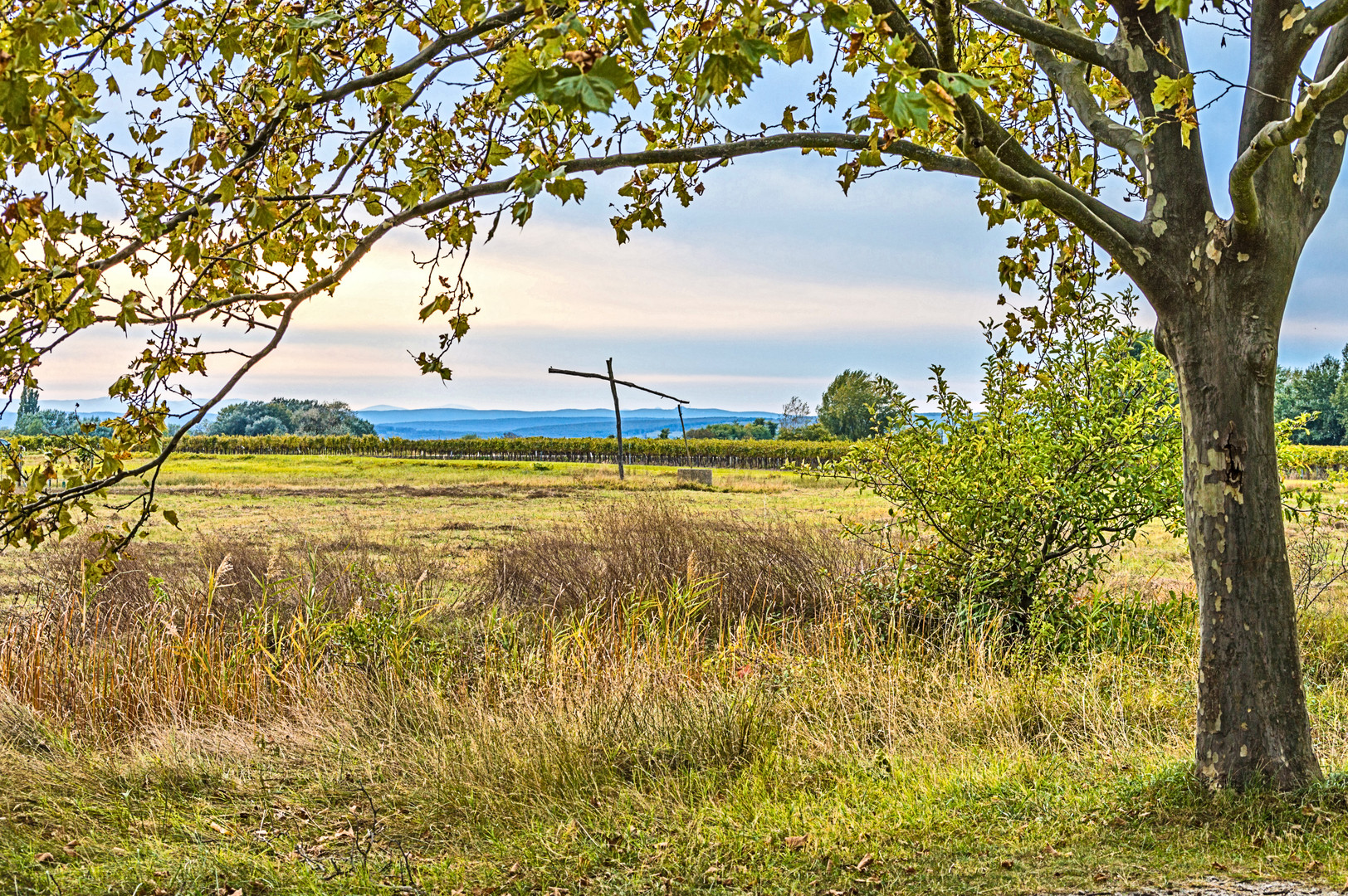 Blick in die Hölle