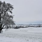 Blick in die Hohenloher Ebene bei Schwäb. Hall.