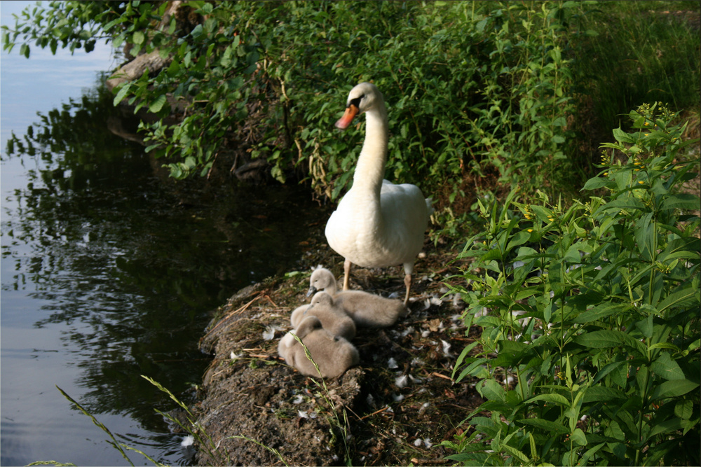 Blick in die Kinderstube