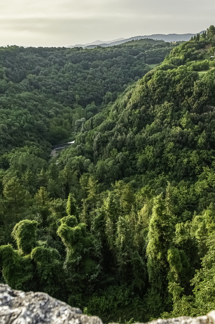 Blick in die Lente-Schlucht