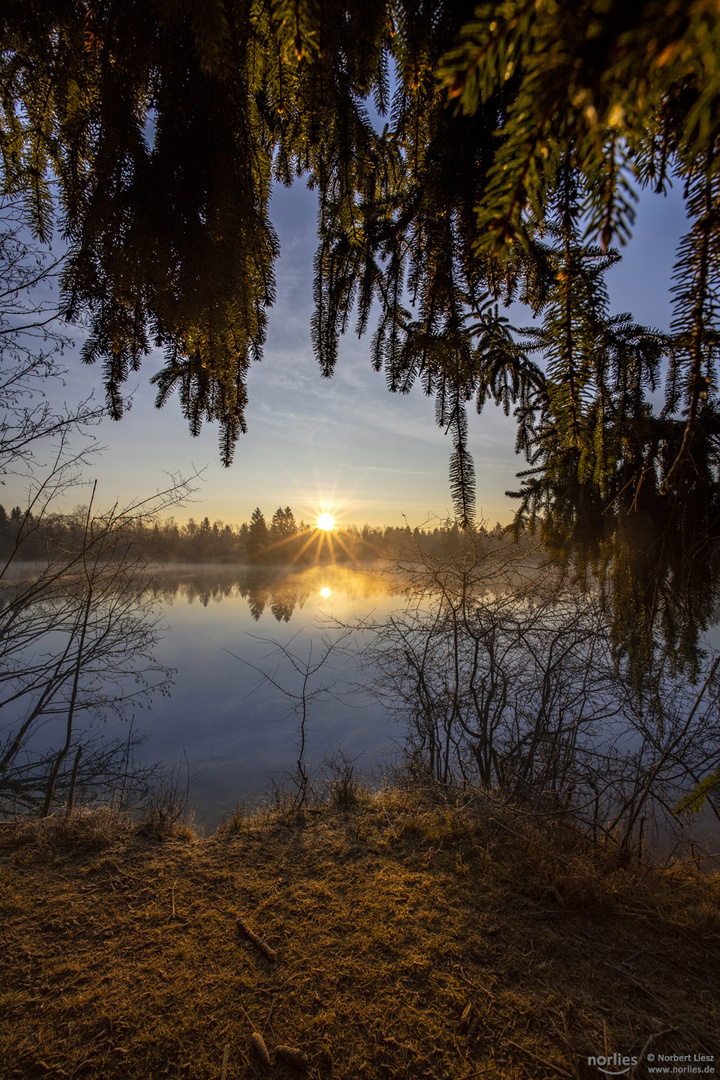 Blick in die Morgensonne