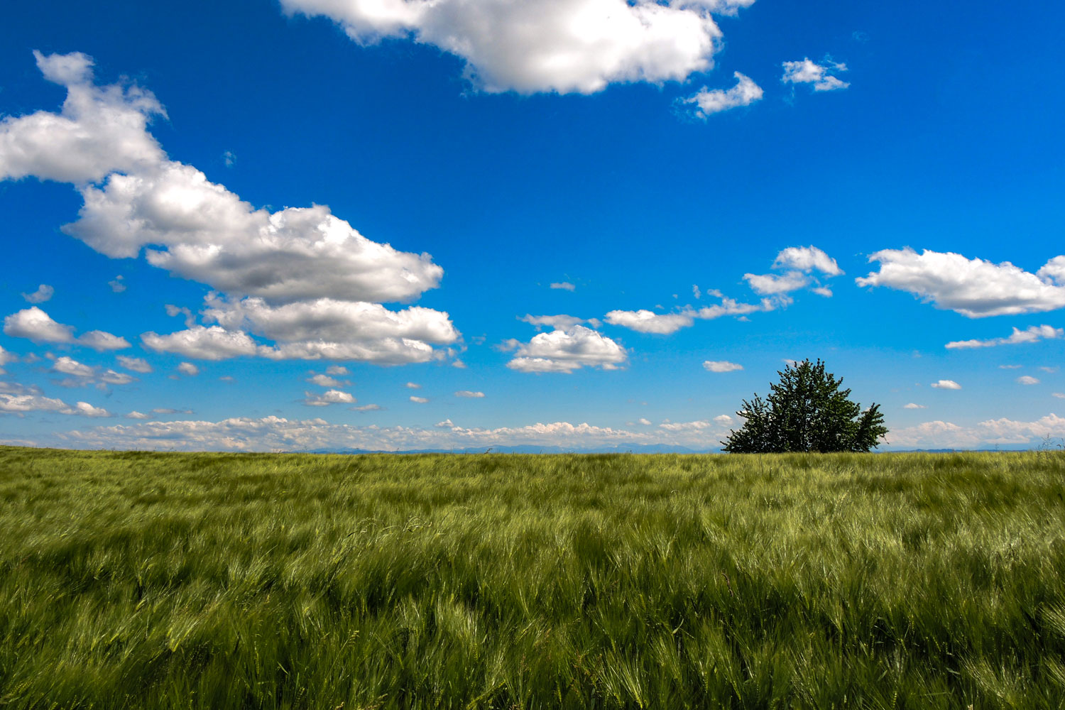 Blick in die Natur