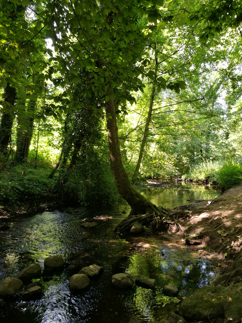 Blick in die Natur