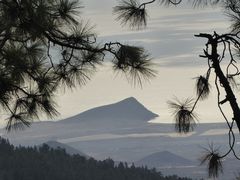 Blick in die Natur...