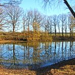 Blick in die Natur am Teich