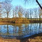 Blick in die Natur am Teich