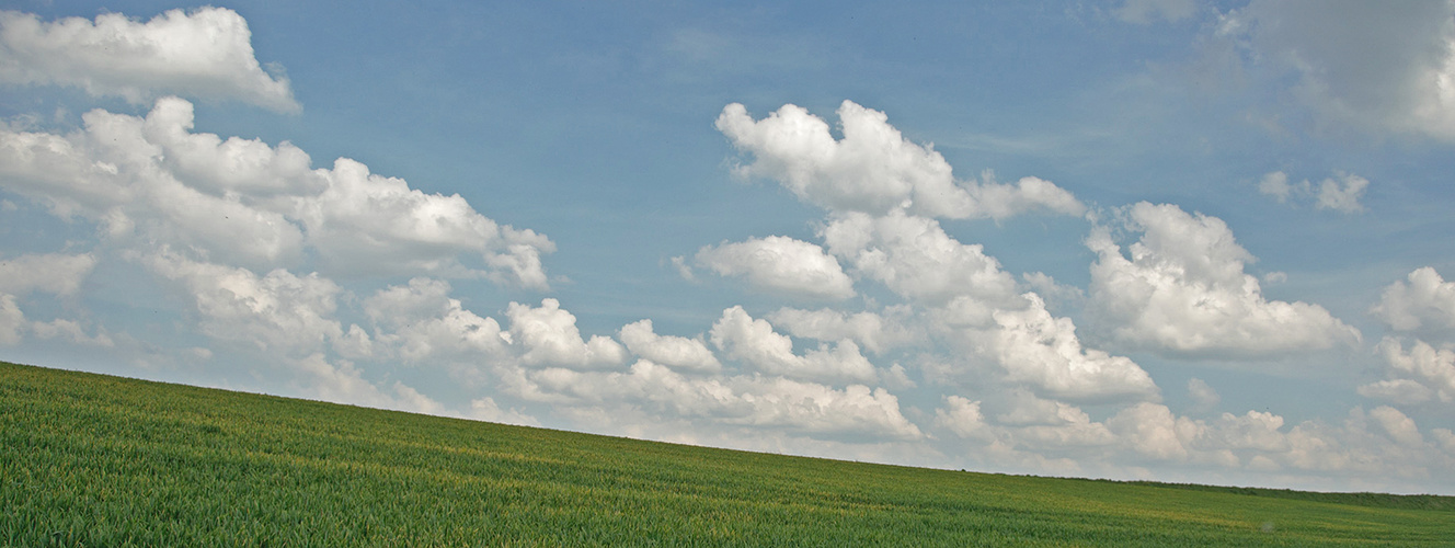 °Blick in die Natur°