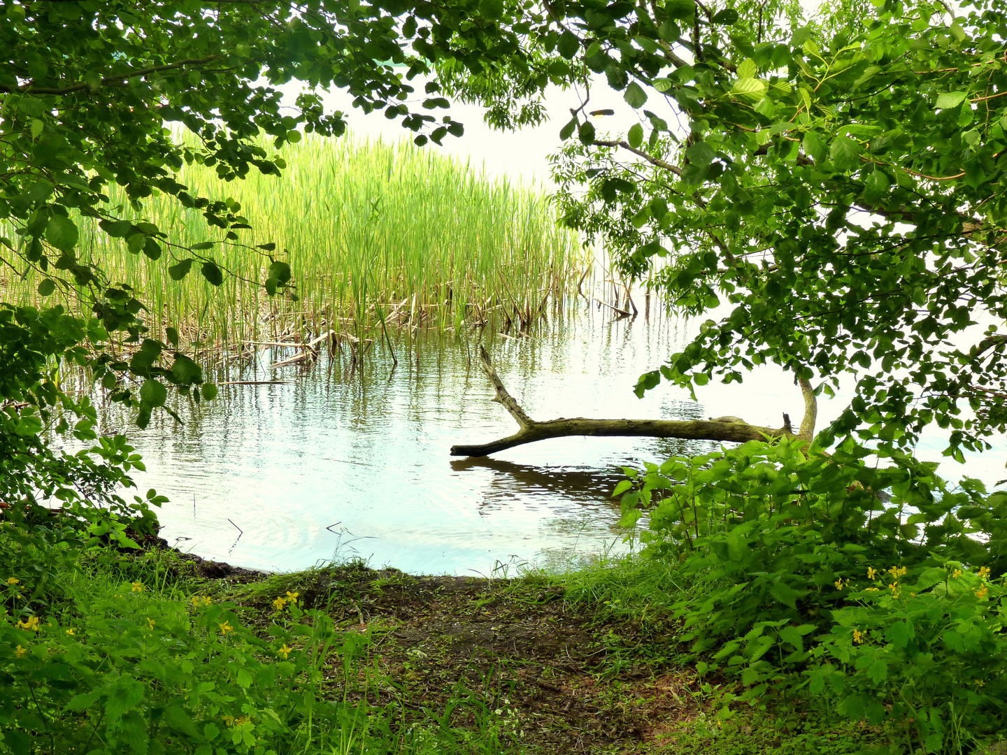 Blick in die Natur