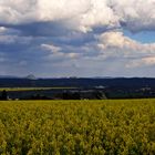 Blick in die Natur über Raps