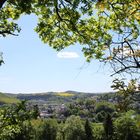 Blick in die Natur um Elsterberg/V.