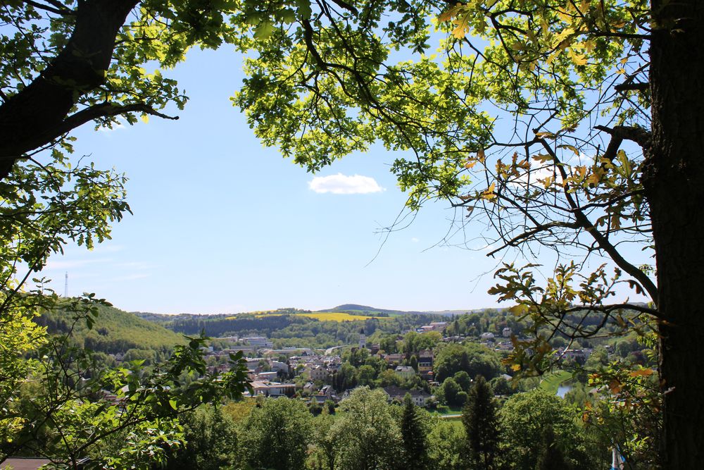 Blick in die Natur um Elsterberg/V.