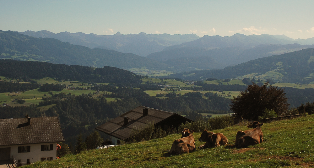 Blick in die österreichische Voralpenlandschaft