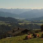 Blick in die österreichische Voralpenlandschaft