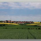 BLICK IN DIE PFÄLZISCHE LANDSCHAFT