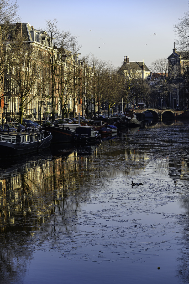 Blick in die Prinsengracht