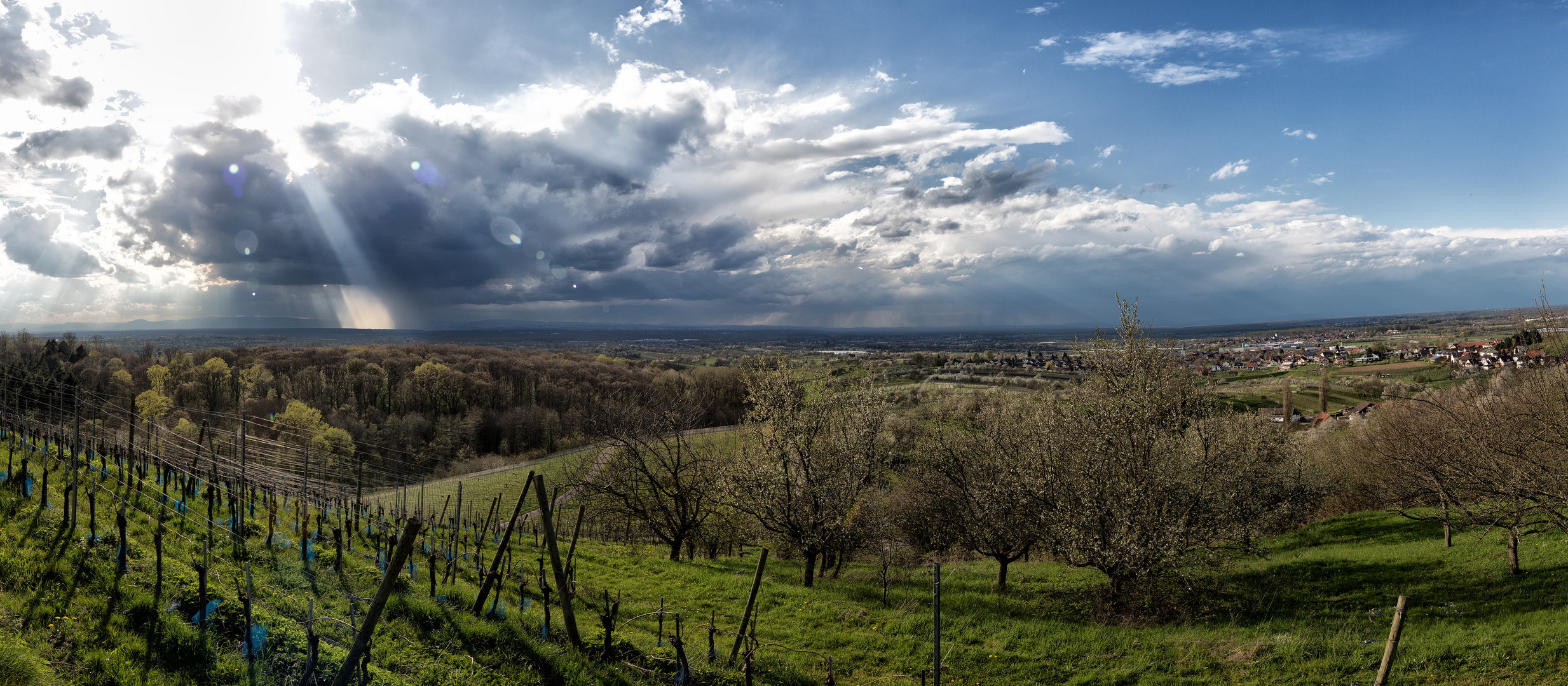 BLICK IN DIE RHEIN EBENE.