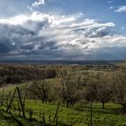 BLICK IN DIE RHEIN EBENE.