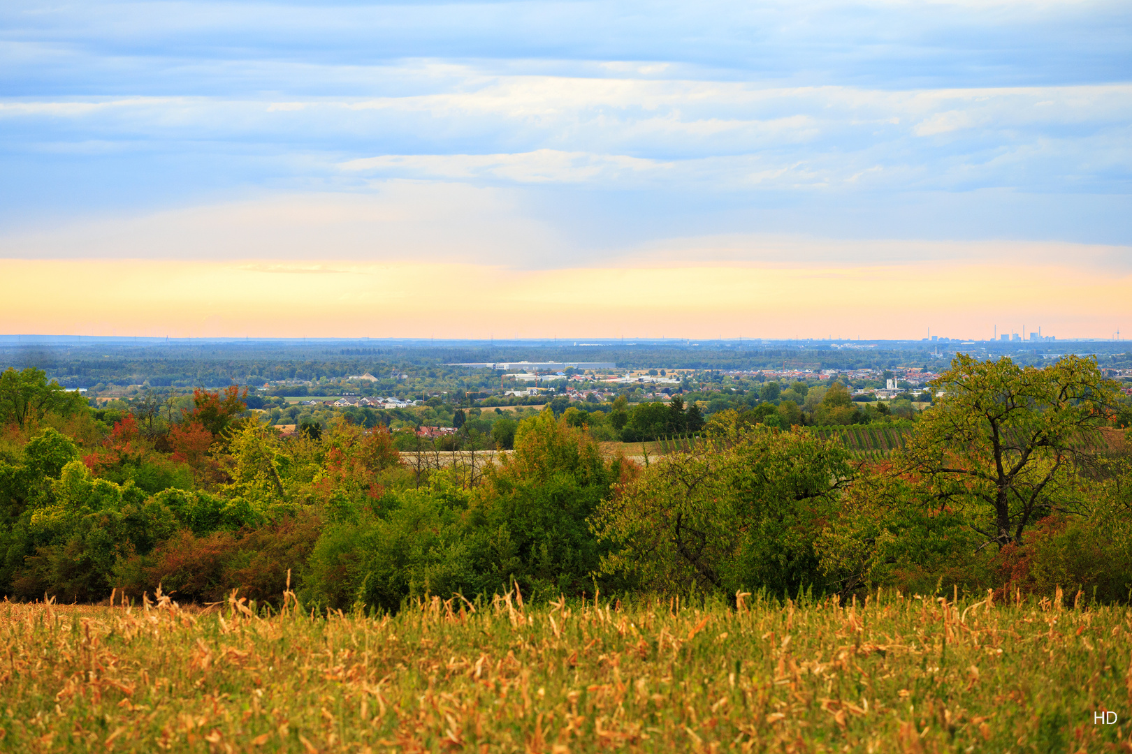 Blick in die Rheinebene