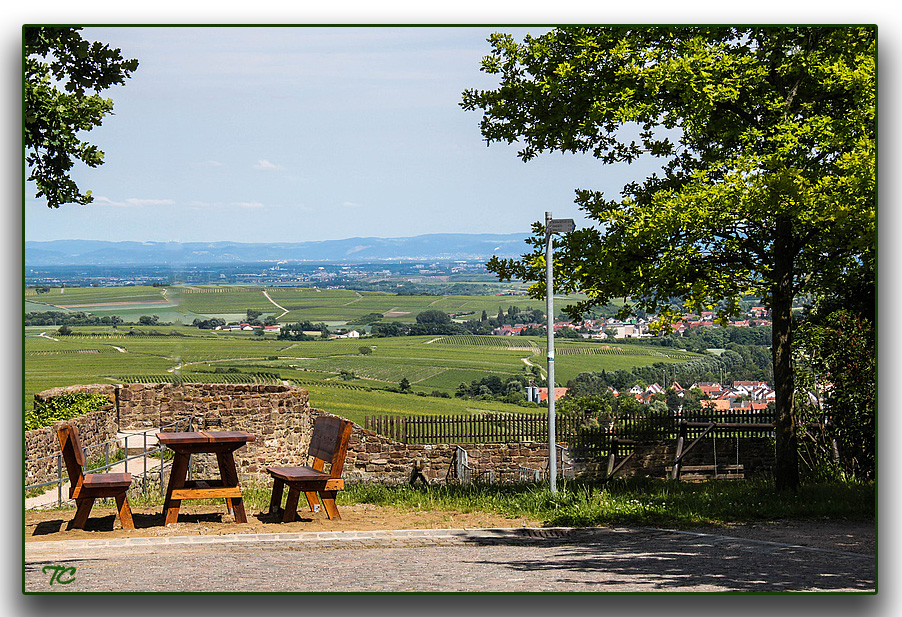 BLICK IN DIE RHEINEBENE