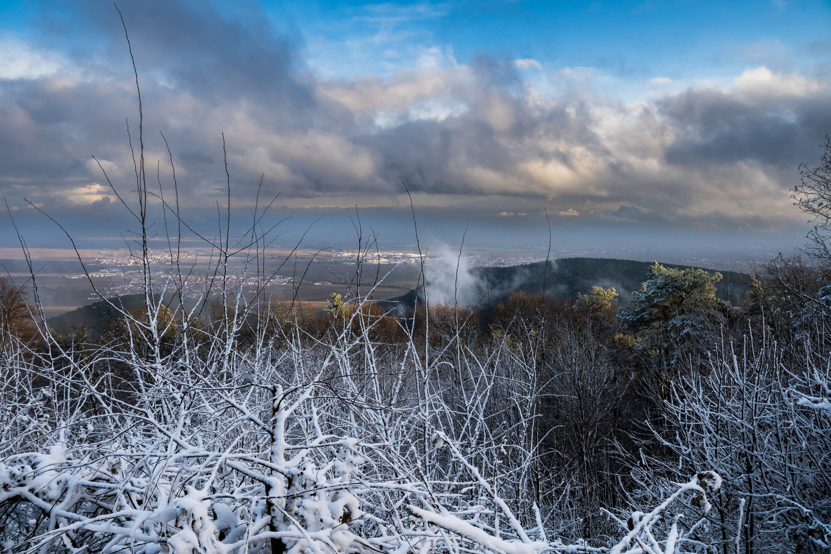 Blick in die Rheinebene