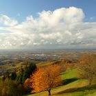 °°°° Blick in die Rheinebene °°°°