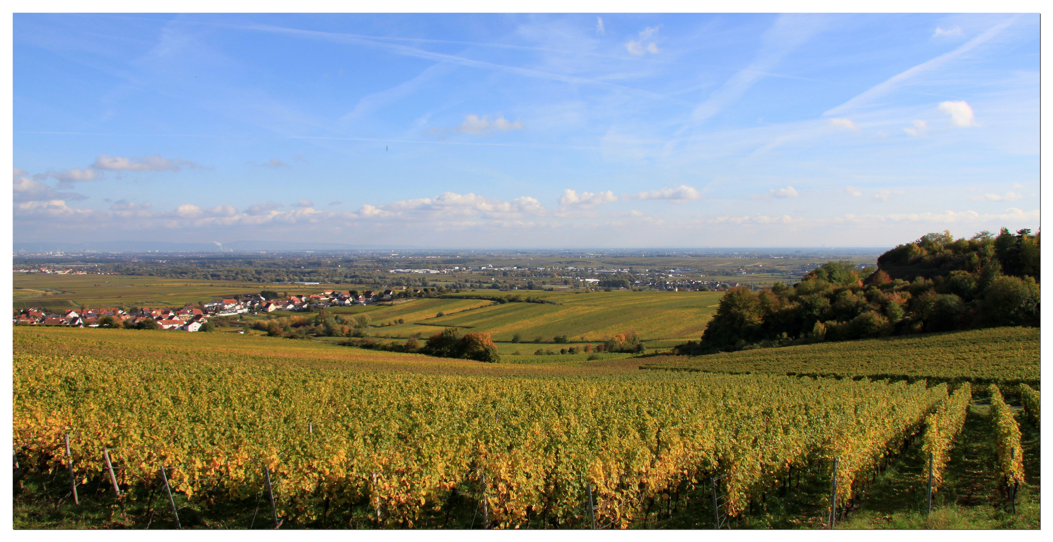 BLICK IN DIE RHEINEBENE