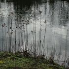 Blick in die Ruhr