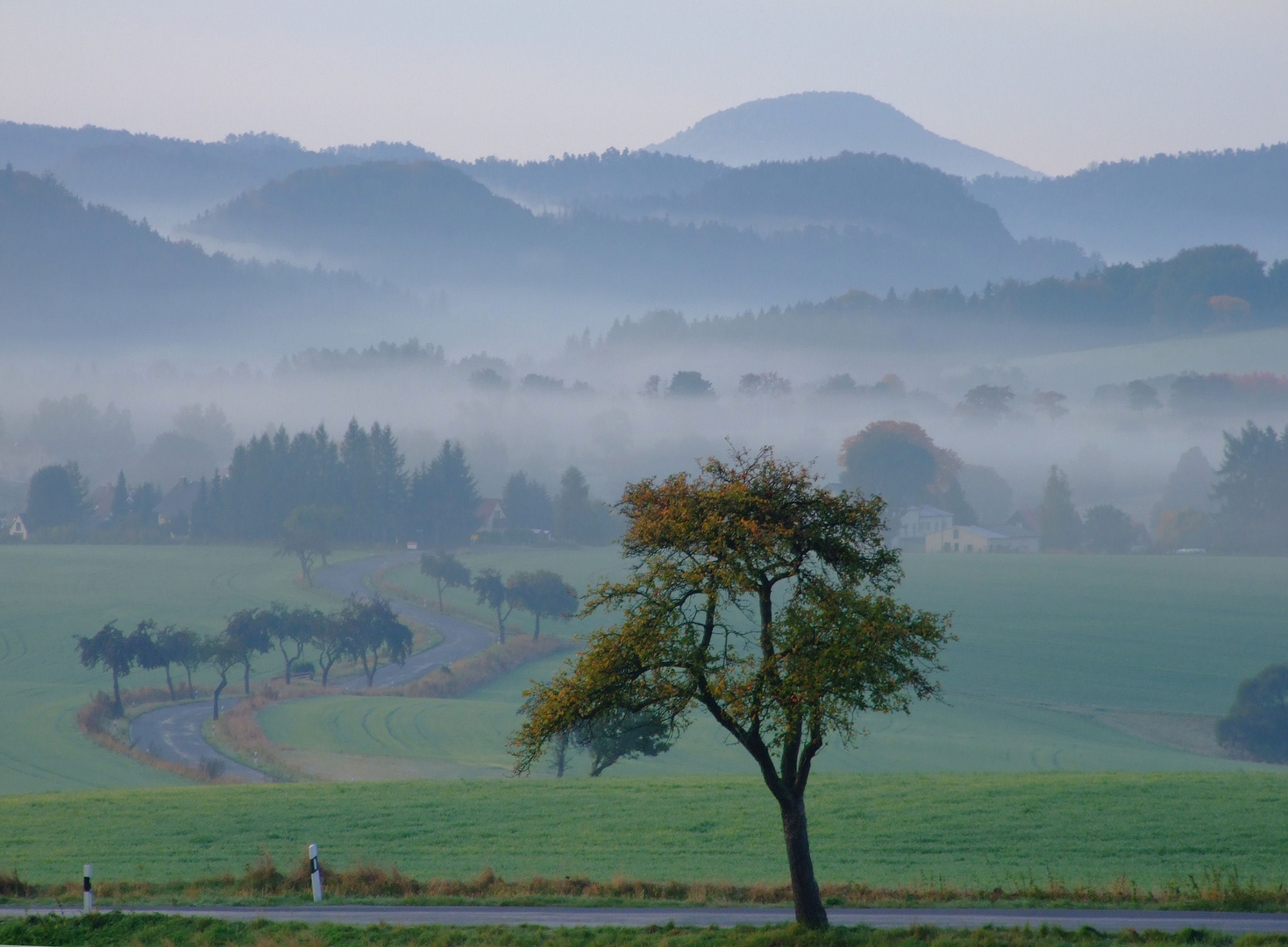 Blick in die sächsiche Schweiz