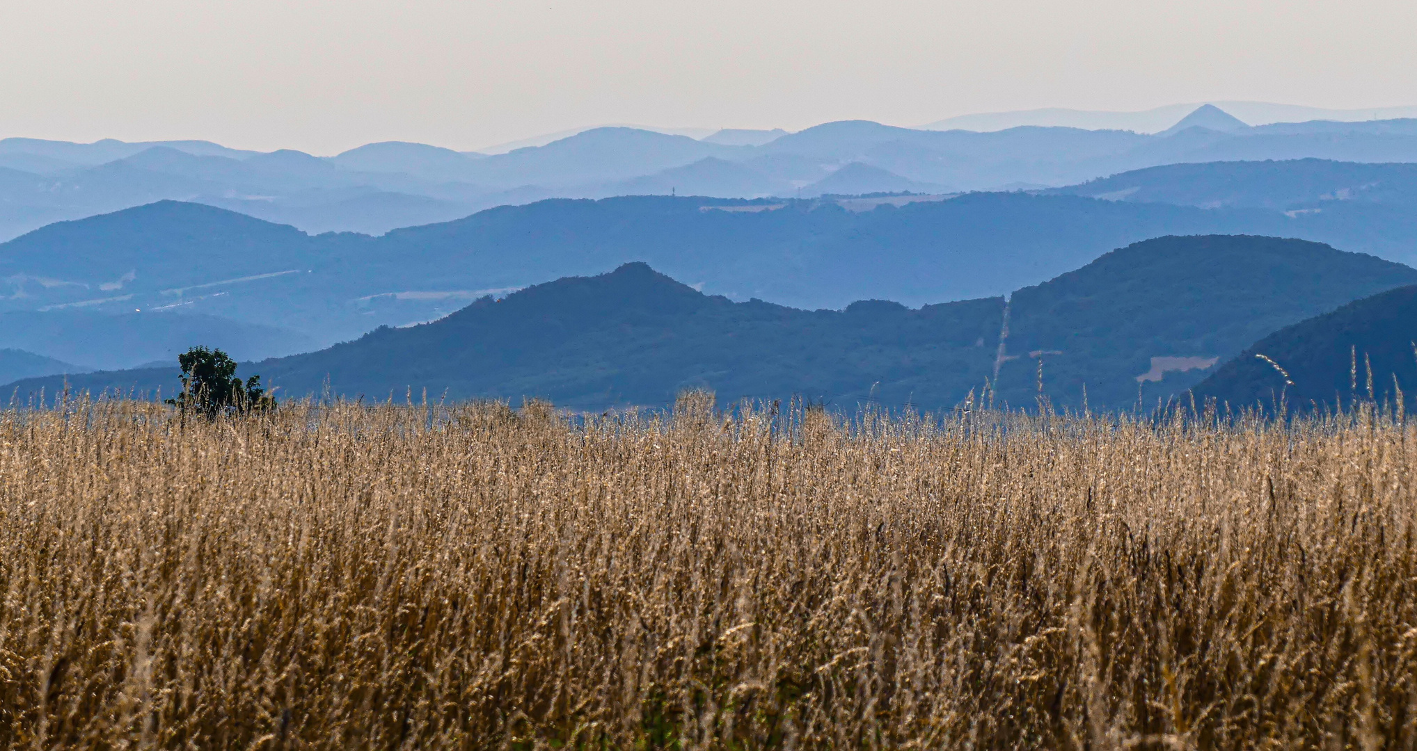 Blick in die Sächsisch-Böhmische Schweiz