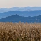 Blick in die Sächsisch-Böhmische Schweiz