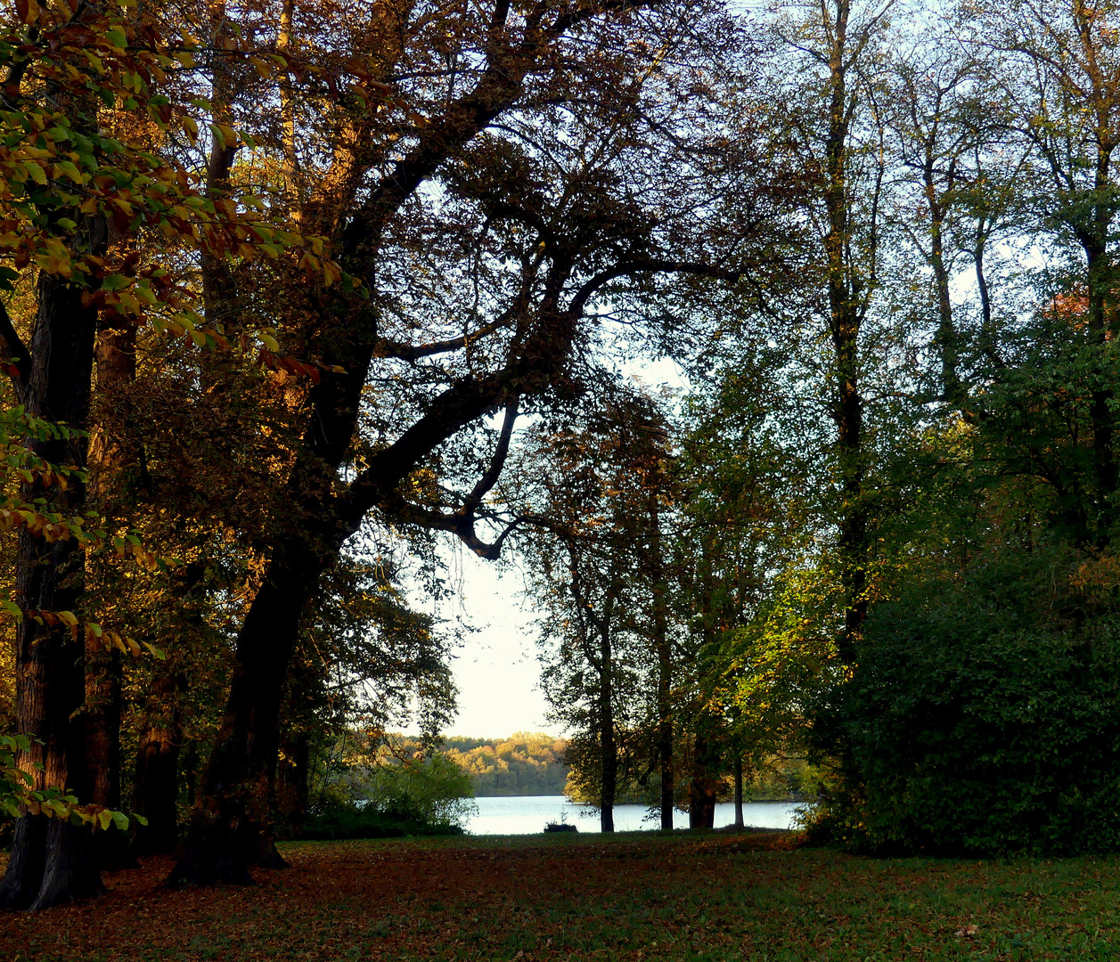 Blick in die Schlossbucht