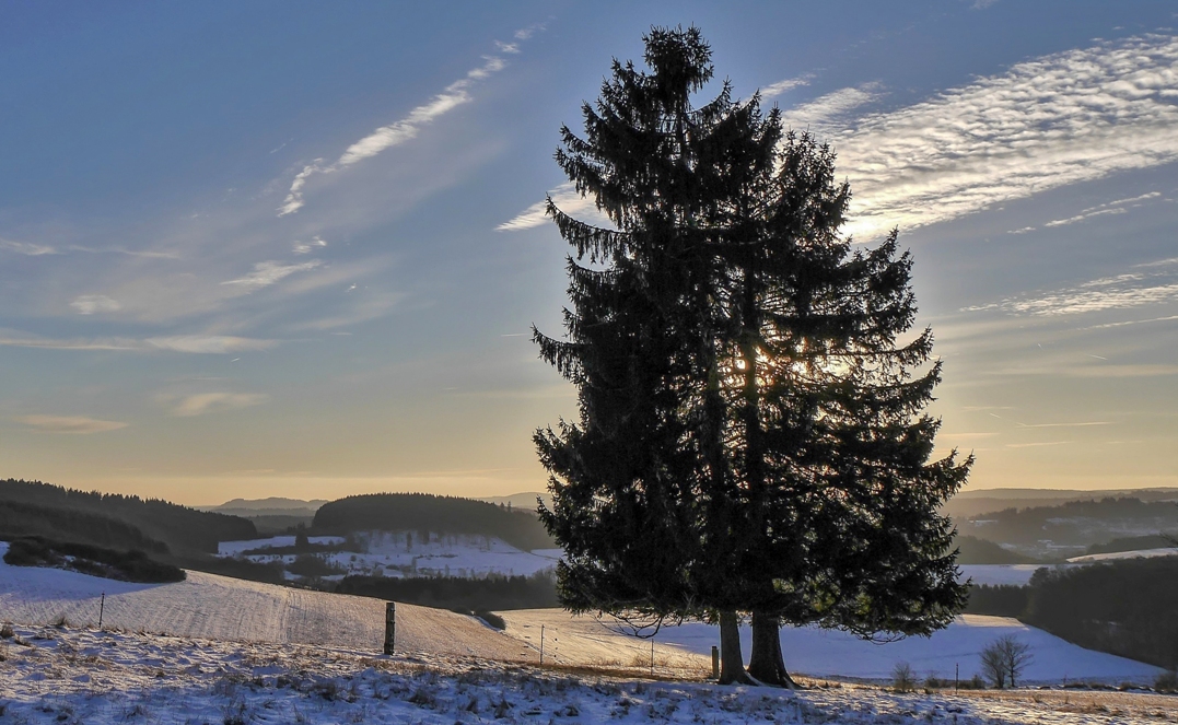 Blick in die schöne Eifel  am Weihnfelder Maar