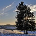 Blick in die schöne Eifel  am Weihnfelder Maar