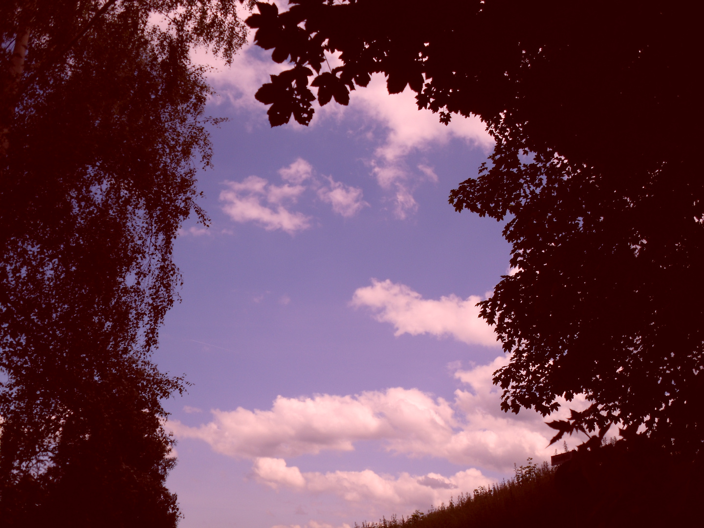 blick in die schönheit der natur