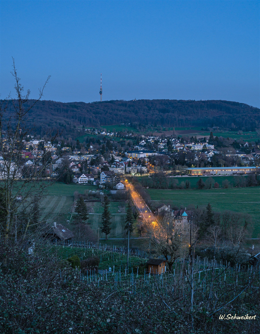 Blick in die Schweiz