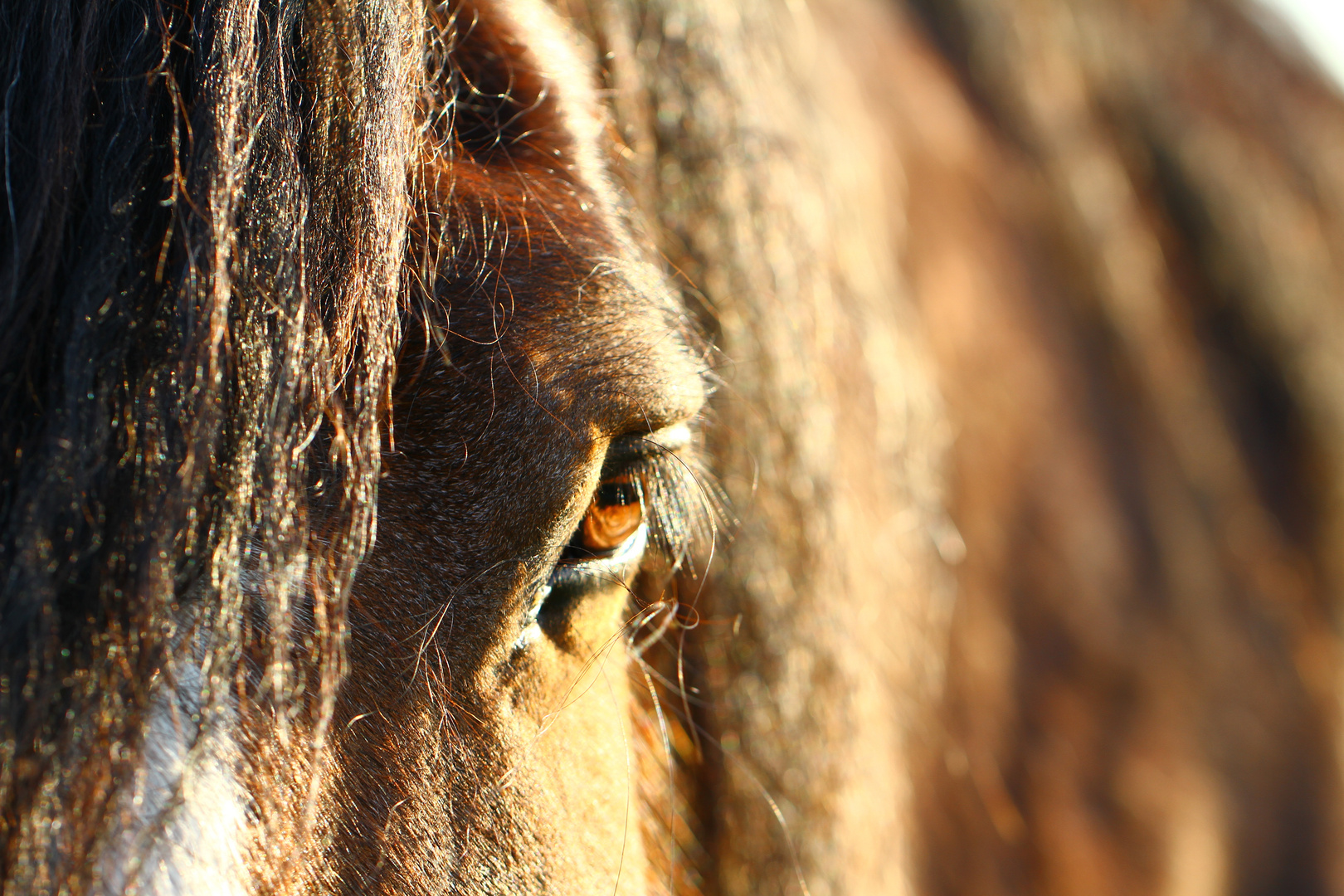 Blick in die Seele