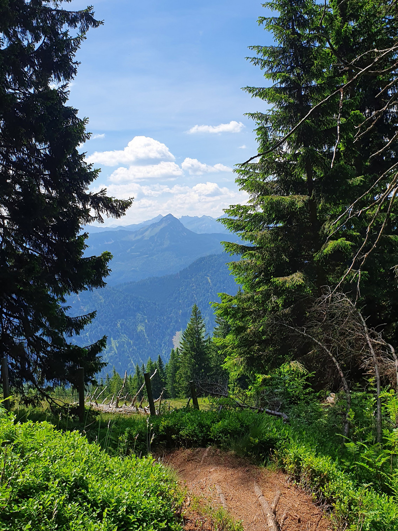 Blick in die Tannheimer Berge