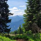 Blick in die Tannheimer Berge