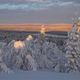 Lapland Winter 2019