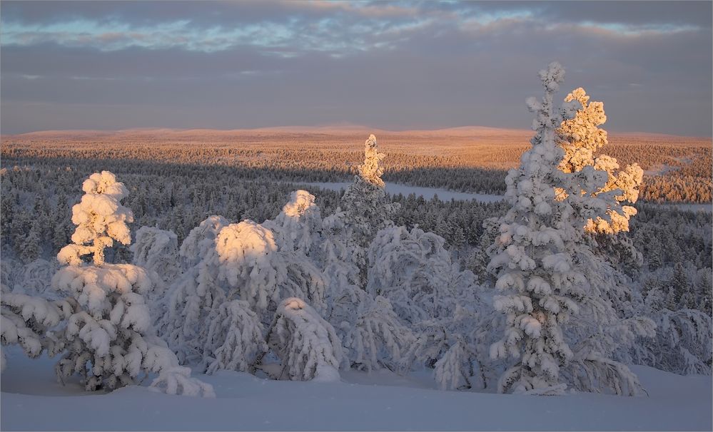 Blick in die Tundra