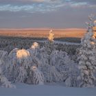 Blick in die Tundra