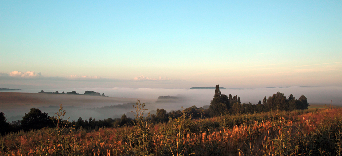 Blick in die Vogesen